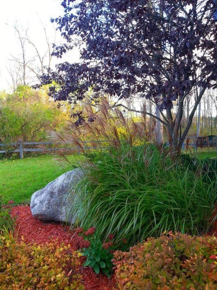 Stone Waters Inn Bellaire Εξωτερικό φωτογραφία